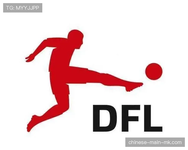 DFL会议讨论下赛季起可能实行的“球迷安全区”新规草案